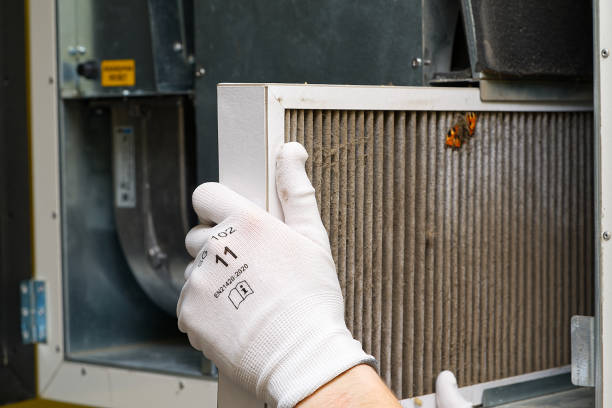 Best Air Duct Cleaning Near Me  in Bellville, TX