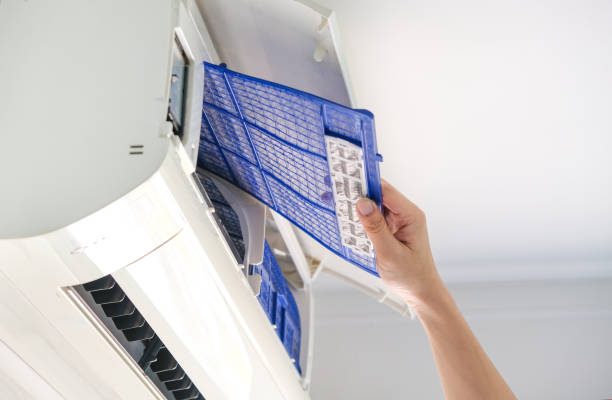 Best Professional Duct Cleaning Services  in Bellville, TX